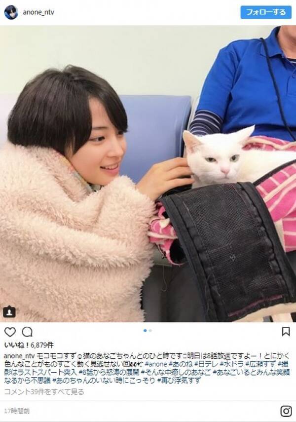 広瀬すず Anone 共演のネコとのツーショットに どっちも癒しやぁ 18年3月7日 エキサイトニュース