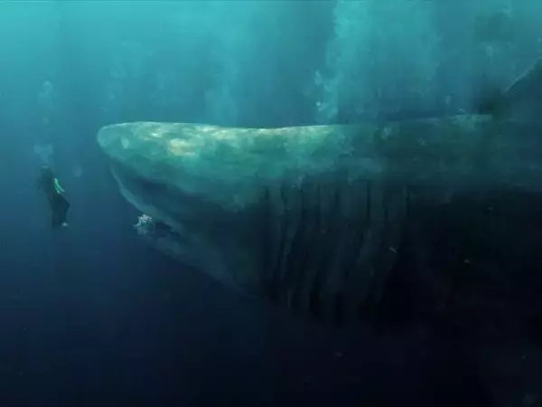 「予想外すぎる進化に驚愕！ 今、サメ映画に何が起こっているのか」の画像