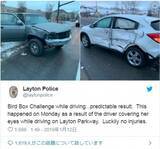 「目隠しで車運転！「バード・ボックス」チャレンジで衝突事故」の画像1
