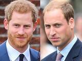 「ヘンリー王子、ウィリアム王子との不仲説に「何があっても僕たちは兄弟」」の画像1