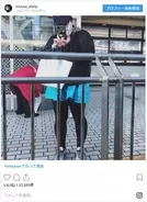 都内人気区立小進学 お受験失敗ママが語る 慶應合格ママの豹変ぶりが激ヤバ 年2月29日 エキサイトニュース