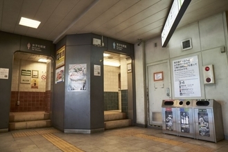「無人と化した渋谷」を忠実に再現 『今際の国のアリス』本物そっくりの精巧なセット画像解禁