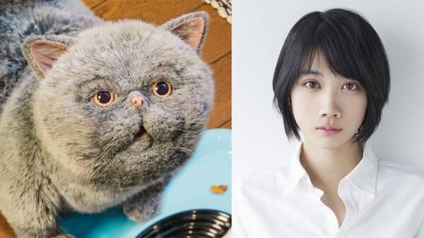 松本穂香 おじさまと猫 ふくまるとそっくりな猫 マリンの声を担当 21年2月3日 エキサイトニュース