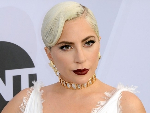 レディー ガガ 愛犬2匹を強奪される 散歩係が銃撃され犯人は逃走 21年2月26日 エキサイトニュース