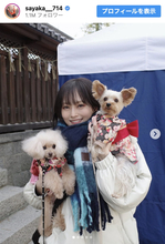 山本彩、ソロデビュー10周年の新年ショットに反響「美人すぎる」「激きゃわです」