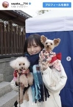 山本彩、ソロデビュー10周年の新年ショットに反響「美人すぎる」「激きゃわです」