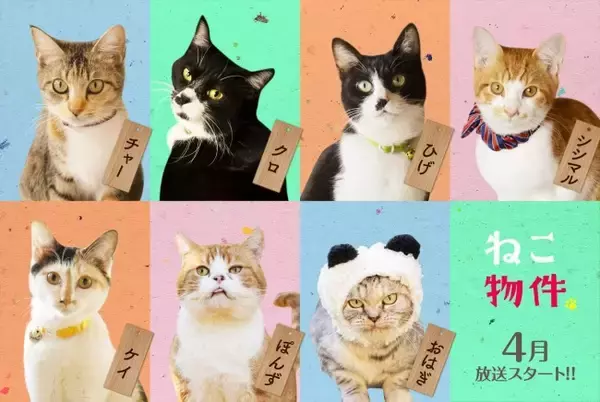 古川雄輝、主役の座を“ねこ”に奪われる!?　ドラマ『ねこ物件』エイプリルフールの1DAY限定ジャック