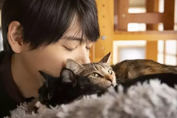 古川雄輝「僕レベルだとまだニワカ」　猫好き主人公にほっこり『ねこ物件』場面写真解禁