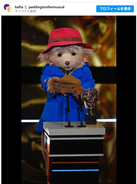 英国アカデミー賞に登場したパディントンが話題！ 「最高にキュートなプレゼンター」の声