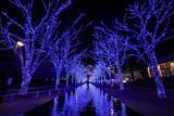 「渋谷「青の洞窟」今年は12．1から！　初の“クリスマスマーケット”も開催」の画像1