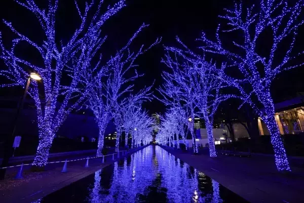 「渋谷「青の洞窟」今年は12．1から！　初の“クリスマスマーケット”も開催」の画像