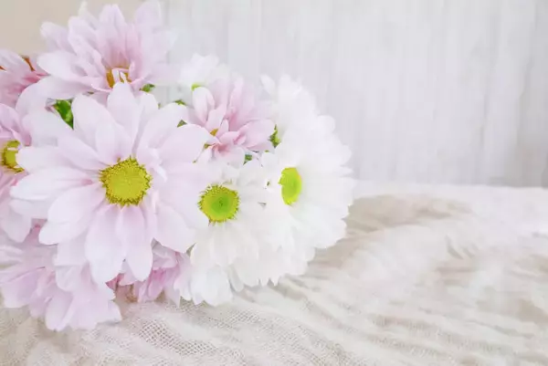 急逝した26歳YouTuberが参加　3月末始動の3人組グループ、今後についてコメント