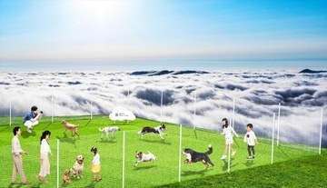 星野リゾート トマム「雲海テラスドッグラン」誕生へ！　愛犬と絶景を堪能できる