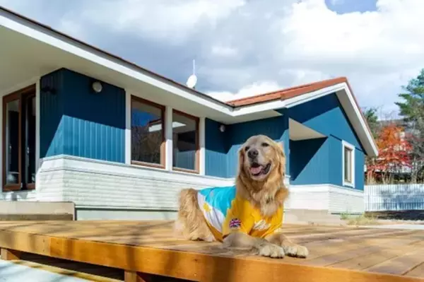 那須高原に“愛犬と泊まれる貸別荘”オープン！　日本最大級の広さを誇るドッグラン付き