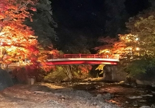 「夜の紅葉絶景ランキング」発表！　1位は樹齢100年以上のもみじが並ぶ青森のスポット