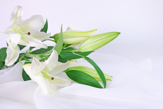 26歳YouTuber逝去に親友がコメント　「気持ちの整理がついていません」