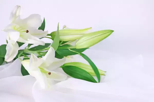 26歳YouTuber逝去に親友がコメント　「気持ちの整理がついていません」