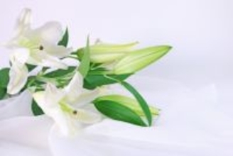 26歳YouTuber逝去に親友がコメント　「気持ちの整理がついていません」