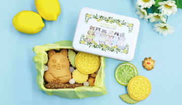 猫モチーフの“夏限定スイーツ”が超かわいい！　「NEKO LAB」レモンデザイン缶など発売