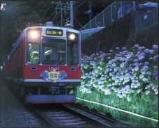 箱根あじさい電車が“夜間ライトアップ”実施へ！　車窓から幻想的な風景を楽しめる