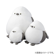 ニトリ「Nクールぬいぐるみ」に新作登場！　今年はチンアナゴやかっぱが仲間入り