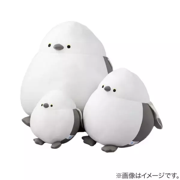 ニトリ「Nクールぬいぐるみ」に新作登場！　今年はチンアナゴやかっぱが仲間入り