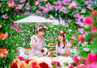ハウステンボスに“100万本のバラ”が咲き誇る！ 「初夏の花の街 ワンダーランド」開催決定