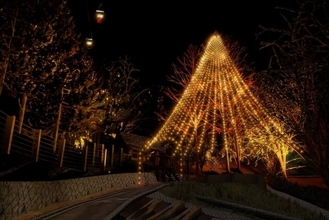 神戸布引ハーブ園に“25mの巨大クリスマスツリー”登場　クリスマスマーケットも開催