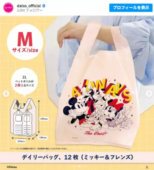 ダイソー“ディズニー”のデイリーバッグが便利！　2Lペットボトルが2本入る大容量サイズ登場