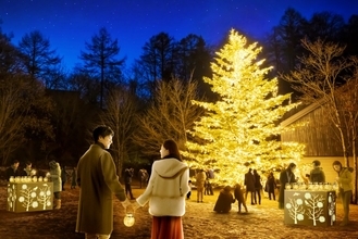 軽井沢星野エリアで「クリスマスイベント」開催へ！　10mの輝くシンボルツリーが登場