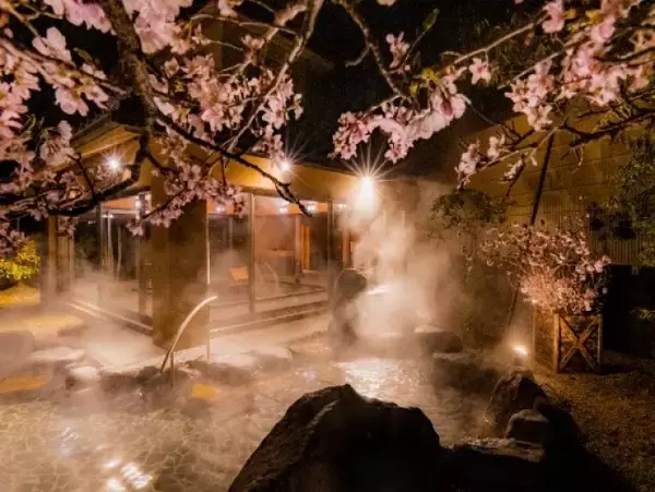 星野リゾート“界”で「花見温泉」開催へ！　桜で彩られた大浴場や客室露天風呂を満喫