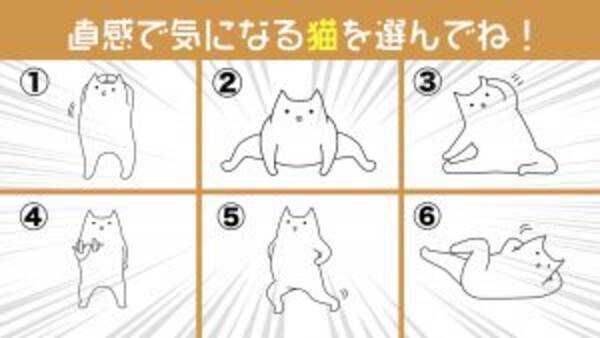 心理テスト 6匹の猫が あなたの性格の 会話の引き出し のタイプを診断します 22年2月4日 エキサイトニュース