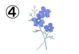 「【心理テスト】青いお花で診断！ あなたの性格の「直感力の高さ」を教えます」の画像6