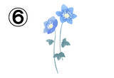 「【心理テスト】青いお花で診断！ あなたの性格の「直感力の高さ」を教えます」の画像8