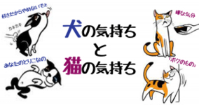 読めない ワード変換が分からない記号ランキング 15年11月15日 エキサイトニュース