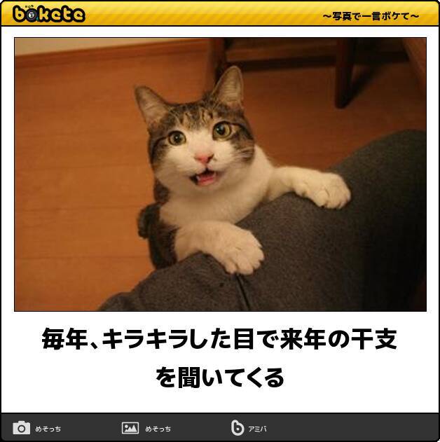 今年も笑って年越し クレイジーを彩った15年ベスト オブ ボケて16選 15年12月27日 エキサイトニュース