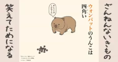 知らなくてもいい豆知識を教えて ウォンバットのうんこは四角い 年2月1日 エキサイトニュース