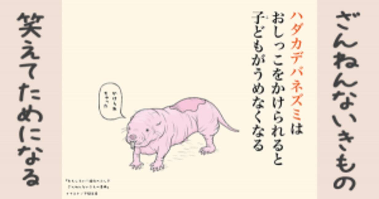 ざんねんないきもの ハダカデバネズミはおしっこをかけられると子どもがうめなくなる 16年11月7日 エキサイトニュース