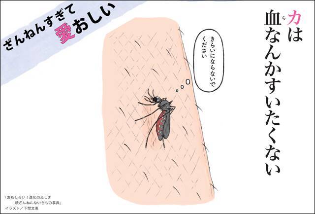 ざんねんないきもの カは血なんかすいたくない 17年7月28日 エキサイトニュース