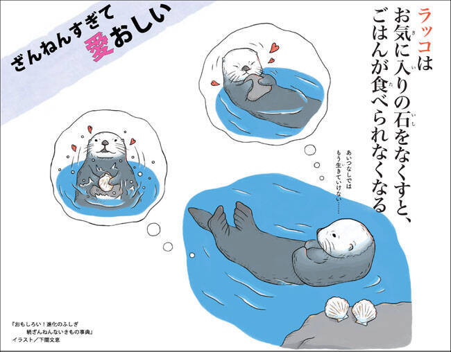 ざんねんないきもの ラッコはお気に入りの石をなくすと ごはんが食べられなくなる 17年8月18日 エキサイトニュース