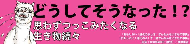 ざんねんないきもの タヌキはすぐに死んだふりをして本当に死ぬことがある 17年9月1日 エキサイトニュース