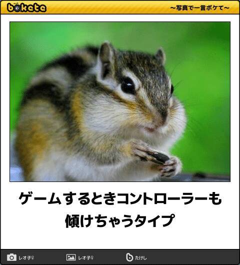 可愛いだけじゃなかった 3秒で吹き出すリスのボケて 11選 18年2月19日 エキサイトニュース 可愛いだけじゃなかった 3秒で吹き出すリスのボケて 11選 18年2月19日 エキサイトニュース