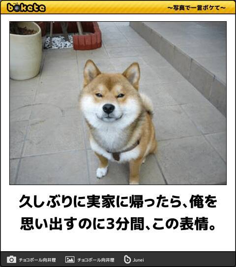 笑ったら負けです 5秒でポーカーフェイスを破壊する 表情 のボケて 11選 18年5月21日 エキサイトニュース
