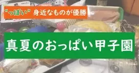 甲子園名物 バックネット裏の ラガーさん がテレビ画面から消えた理由とは 18年8月14日 エキサイトニュース