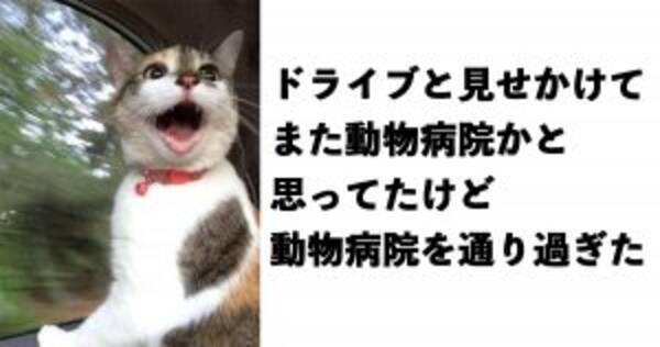 朝からテンアゲ 月曜日の憂鬱を吹き飛ばす爆笑厳選ボケて10選 18年11月12日 エキサイトニュース