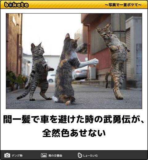 日曜日の朝を笑いで始めよう きっと吹き出す爆笑厳選ボケて10選 18年11月18日 エキサイトニュース