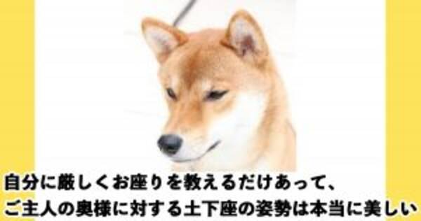 今週も笑いをお届けします 休日に読みたい爆笑ボケて10選 18年12月8日 エキサイトニュース