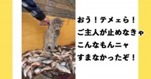 大晦日に今年を笑い飛ばそう あなたの腹筋を崩壊させる動物ボケて10選 18年12月31日 エキサイトニュース