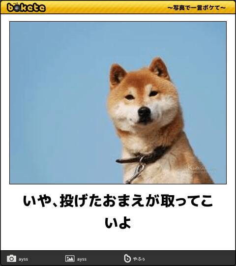 朝から元気をもらえる 三が日を笑いで飾る傑作動物ボケて10選 19年1月3日 エキサイトニュース