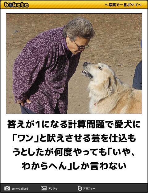 正月太りには笑いで対処 腹筋が鍛えられる爆笑動物ボケて 10選 19年1月5日 エキサイトニュース